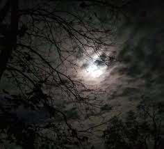 The moon's current phase for today and tonight is a waxing gibbous phase. Full Moon In Virgo Today Kat Miller Psychic Medium