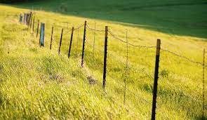 Barbed wire can be used with chain link or other fencing barriers for added security. 3 Materials You Can Salvage On Old Farms Hobby Farms