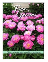 Fine peonies for garden and vase. Fine Peonies For Garden And Vase Fina Gardens Peonies