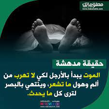 pin on حقائق