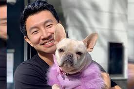 Kim's convenience actor simu liu criticized the show's 'overwhelmingly white' producers for canadian actor simu liu took to facebook with a candid post detailing workplace culture during his. Having Been With Many Girls In Kim S Convenience Who Is Simu Liu S Girlfriend In Real Life Ecelebritymirror