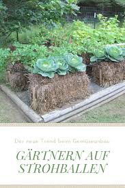 Ahnlich Wie Hochbeete Das Gartnern Auf Strohballen Macht Es Moglich Gemuse Selbst Auf Schlechten Boden Oder Auf Dem Balkon Anzubauen Erfahren Sie Mehr Dazu I Veggie Garden Growing Vegetables Family Garden