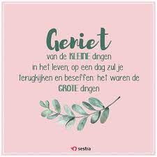 Maybe you would like to learn more about one of these? Pin Op Sestra Quotes