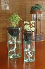 Celengan berbentuk babi dari botol bekas siap untuk digunakan menyimpan uang kamu. 8 Ide Memanfaatkan Botol Kaca Tak Terpakai Untuk Dekorasi Rumah Lifestyle Fimela Com
