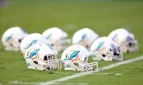 Miami Dolphins 2014 Season Review August