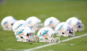 miami dolphins 2014 season review august