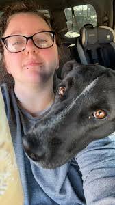 Dog aggression training recommendations needed