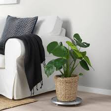 vallmofron sierpot zeegras 19 cm ikea ikea bloempot buitenruimten