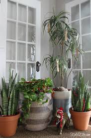 It S All In The Details Christmas Chirstmas Decor House Plants Decor Holiday Home Decor