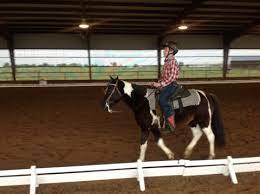 Maybe you would like to learn more about one of these? Horse Boarding In Tulsa Oklahoma Tulsa County