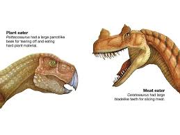 50 food trivia questions for all food experts. 5 Questions About Dinosaurs Answered Britannica