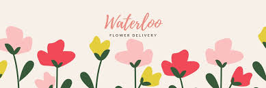 11 roses — 75 usd including delivery fee. The 6 Best Options For Flower Delivery In Waterloo 2021