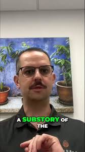 @terragentoken's video Tweet