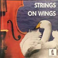 Strings On Wings