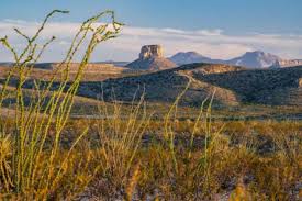 Por ao menos US$ 80 milhões, cowboys milionários põem à venda ranchos  icônicos nos EUA