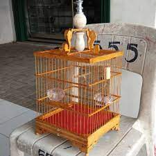 Pada saat ini burung pleci sudah termasuk kategori burung lomba. Cara Membuat Sangkar Pleci Minimalis Model Rumah 2019