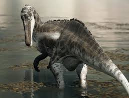 Image result for Suchomimus