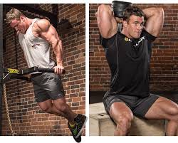 The triceps brachii is the muscle that most are referring to when they say triceps. 7 Strategies To Target Your Triceps Long Head And Build Bigger Arms