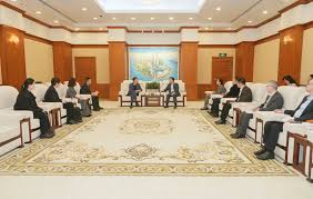 浦东区领导会见香港大学计算与数据科学学院院长马毅- 返回官网