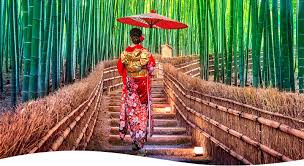 宇治 着物 レンタル