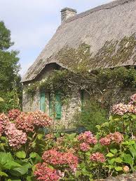 Principles and practice 2 ed. Derriere Les Hortensias Parc Naturel Regional De Briere Presqu Ile Guerandaise France Irish Cottage Cottage Garden English Cottage