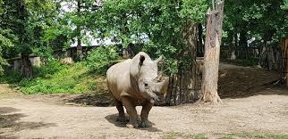 Sme jednička na trhu v európe. Zajimavosti V Zoo Lesna Picture Of Zoo And Castle Zlin Lesna Zlin Tripadvisor