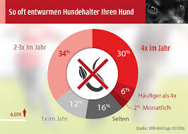 Der hund ist gesund und frei von parasiten wie beispielsweise flöhen und ohrmilben oder würmern. Hundehalter Zeigen Sich Weitgehend Risikobewusst Vdh De
