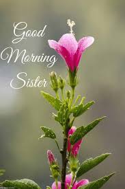 Maybe you would like to learn more about one of these? 120 Lovely Good Morning Wishes And Greetings For Sister Good Morning Sister Images Good Morning Sister Quotes Good Morning Sister