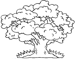 Egal ob windows, mac, ios oder android, sie können die bilder über den. Baum Malvorlagen Ausdrucken Coloring And Malvorlagan