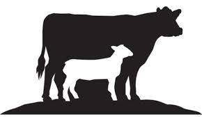Internet buat penyedia bermacam berita yang melimpah pasti harus kita gunakan. Qurban Sapi Atau Kambing Yang Lebih Baik Cermati Com
