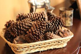 We did not find results for: Diy Cinnamon Scented Pine Cones Hgtv