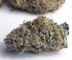 How to Grow Cannabis in Soil | Grow Weed Easy