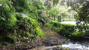 Contextual translation of mewartakan kawasan hutan simpan into english. Hutan Lipur Soga Perdana Review Of Soga Perdana Amenity Forest Batu Pahat Malaysia Tripadvisor