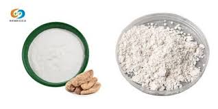 Gastrodin Powder vs. Other Supplements: Which Is Better? - Rebecca