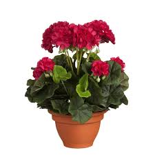 Maybe you would like to learn more about one of these? The Seasonal Aisle Geranium Flower Pot Wayfair Co Uk