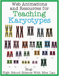 Teaching About Karyotypes And Chromosomes Science And Math With Mrs Lau Biology Lessons High School Science Teaching Biology
