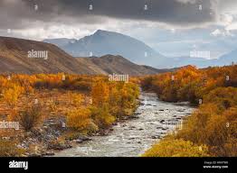 Ruisseau d'automne Banque de photographies et d'images à haute résolution -  Alamy