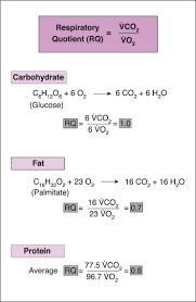 Cardiac muscle on the other hand, can readily consume any of the three macronutrients (protein, glucose and fat) aerobically without a 'warm up' period and. Respiratory Quotient An Overview Sciencedirect Topics