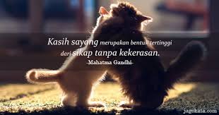 We did not find results for: 111 Kata Kata Mahatma Gandhi Jagokata