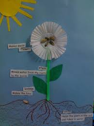 Primavera Flores Partes Da Planta Ciencia Das Plantas Ciencia Pre Escolar