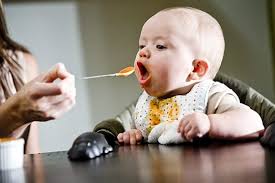 Image result for Solid Food Introduction in Infants