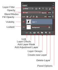 The specified color will also be shown by the parent layer folder. Adobe Photoshop Layers Explained