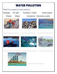 Clean water is vital for public health and ecosystems. Water Pollution Interactive Worksheet