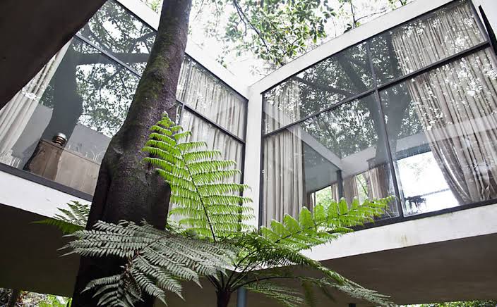 Resultado de imagem para CASA DE VIDRO  lina bo bardi FOTOS"