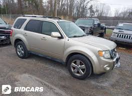 Image result for Gold Leaf 2011 Escape