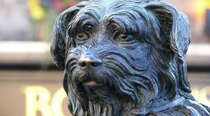 Benzersiz Sadakatiyle Butun Iskocya Nin Kalbinde Yer Etmis Kopek Greyfriars Bobby Eksi Seyler