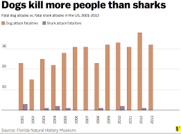 Shark Attacks Are Rising But You Re Still 33 Times More Likely To Be Killed By A Dog Vox