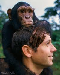 Wildlife watering area ideas for fenced and unfenced spaces