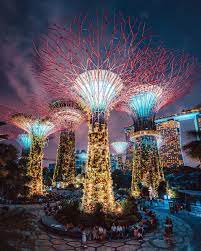 Supertree Grove De Gardens By The Bay Singapur Singapore Art Gardens By The Bay Singapore Garden