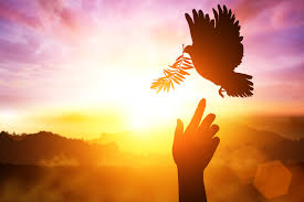 .santu (scn) pentecostes, pascua de pentecostés, pfingsten, pascua de pentecostes, domingo de sviatky, päťdesiatnica, zostúpenie svätého ducha (sk); Hacia Un Renovado Pentecostes El Mensaje Del Arzobispo